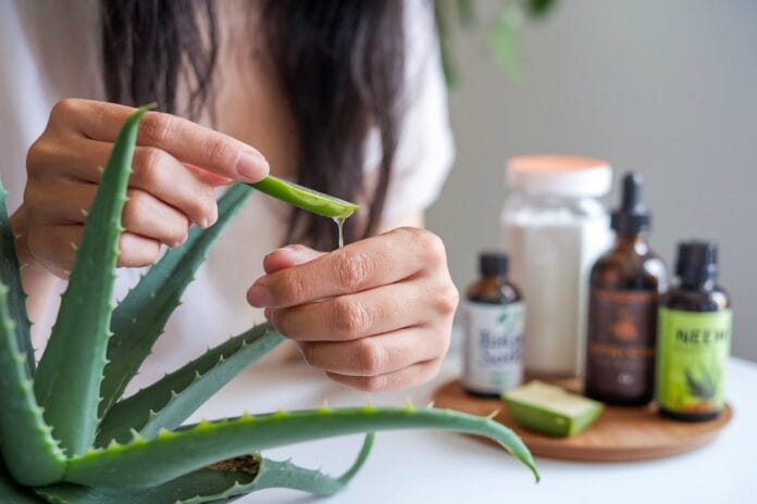 Rimedi Naturali per la Tinea Cruris: Soluzioni Efficaci