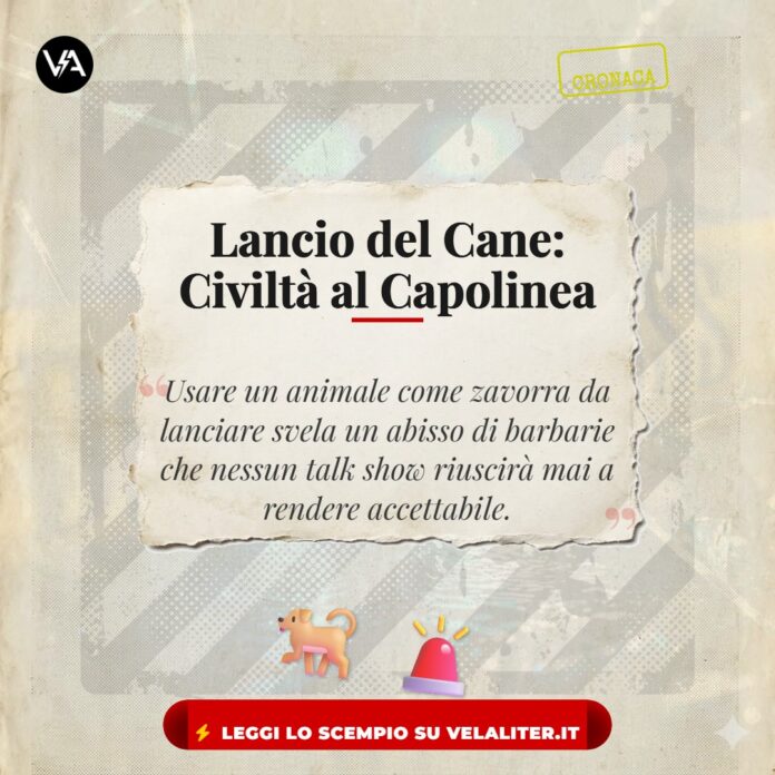 Cane Lanciato Auto Brescia