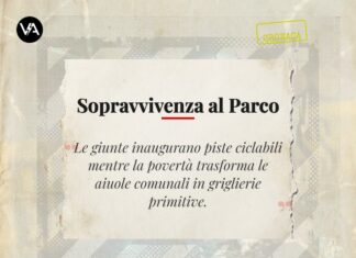 immagine notizia gatto cucinano parco