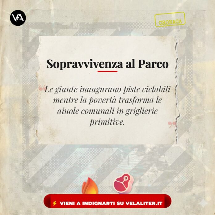 Immagine Notizia Gatto Cucinano Parco